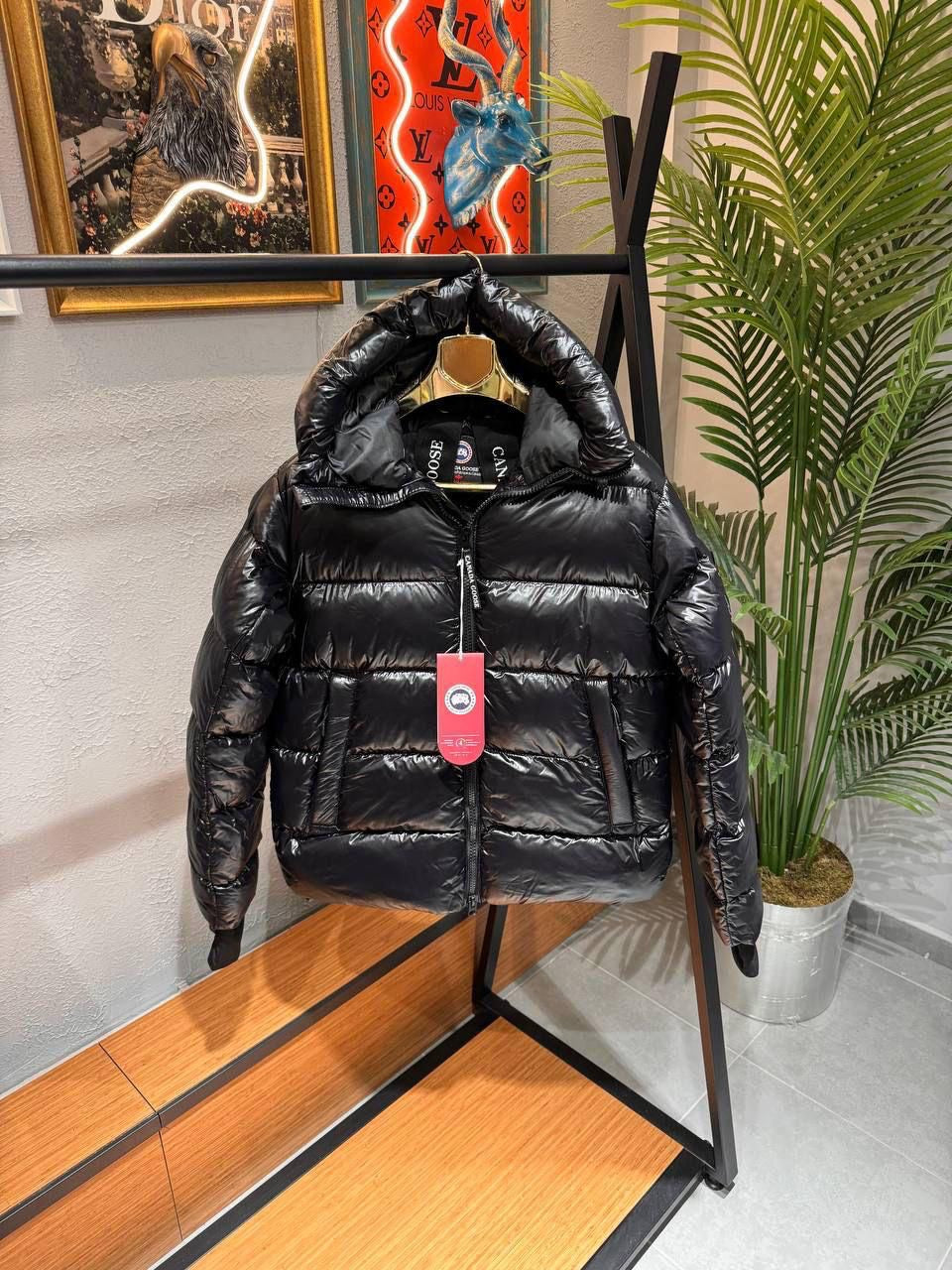 Canada Goose