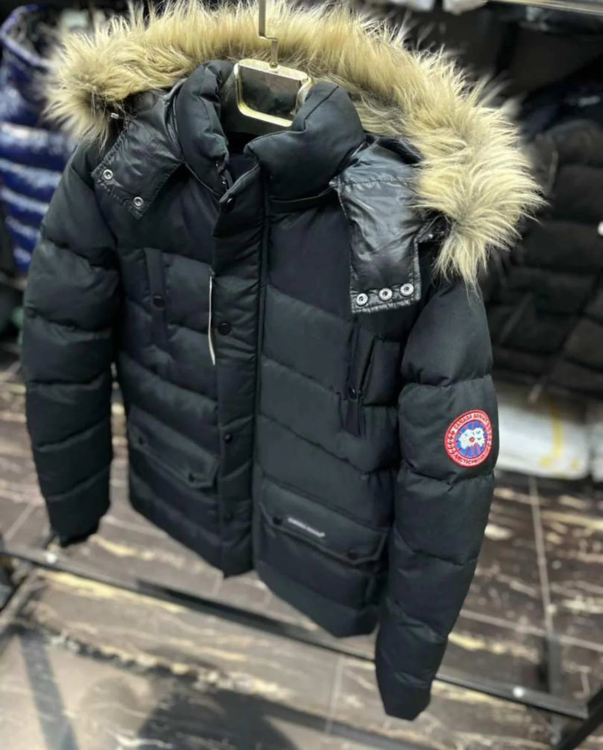 Canada Goose 1